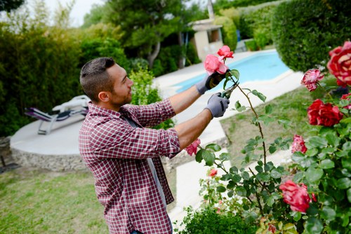 Gardener working in a small terraced front garden in Morden